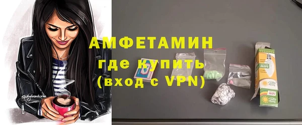 молекула духа Богородицк