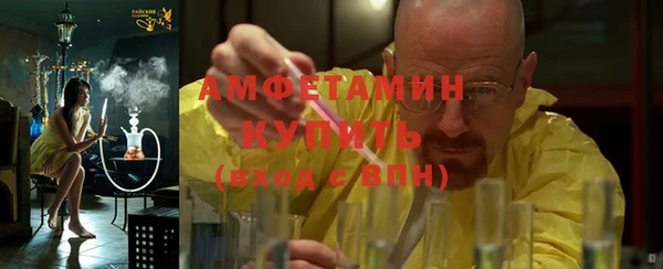прущие грибы Беломорск