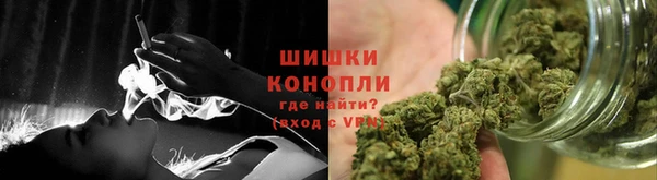 прущие грибы Беломорск