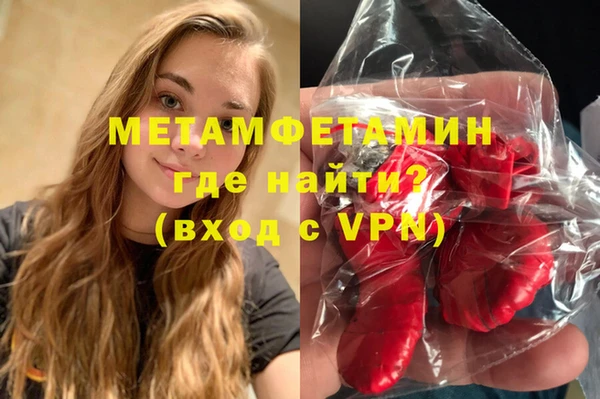 прущие грибы Беломорск