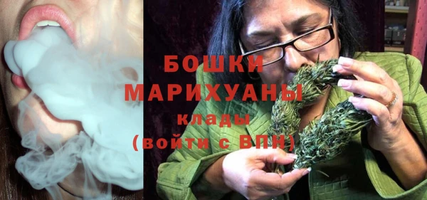 прущие грибы Беломорск