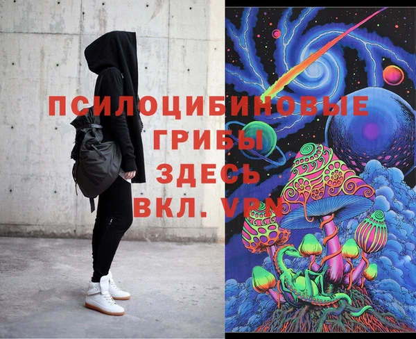 ГАЛЛЮЦИНОГЕННЫЕ ГРИБЫ Верхнеуральск