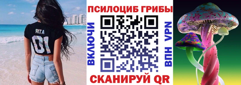 KRAKEN как зайти Балабаново Галлюциногенные грибы Psilocybe